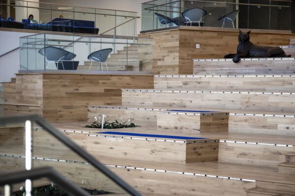 Stairs with Solid Flooring University of Kentucky