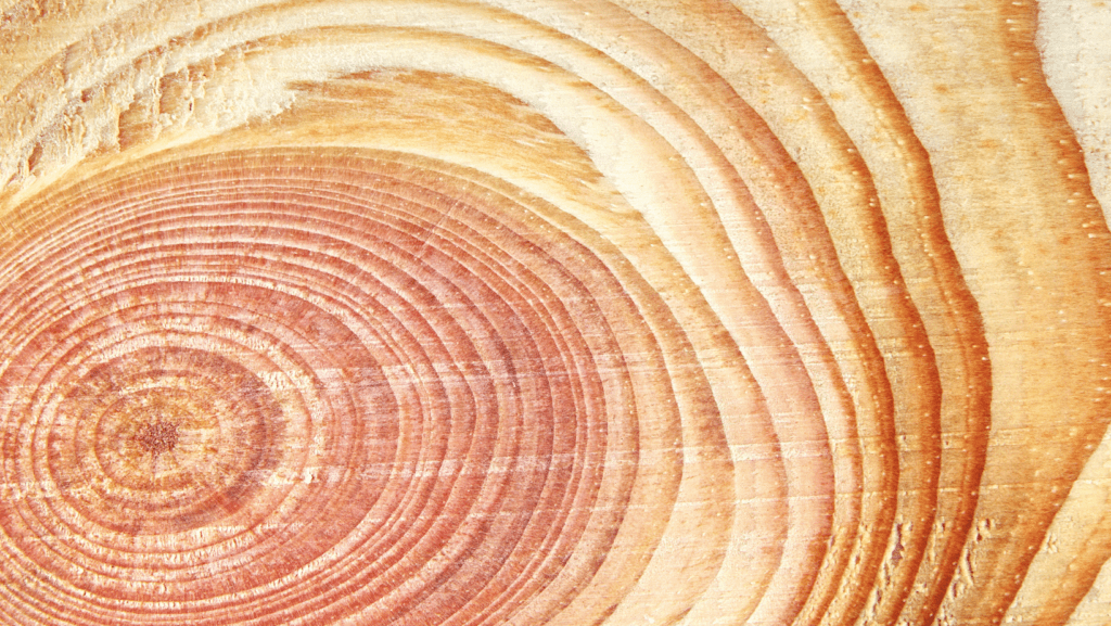 textured wood