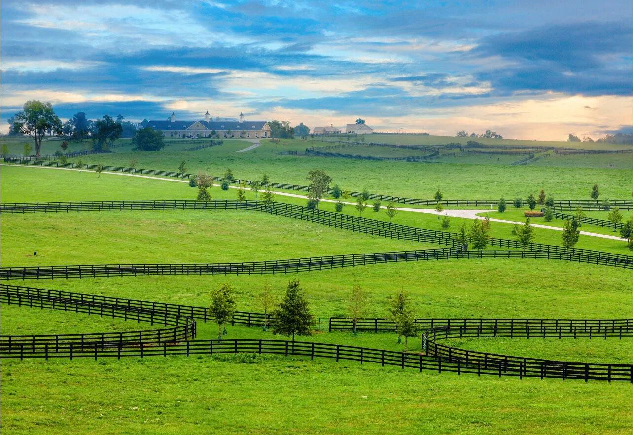 A hosre farm in kentucky