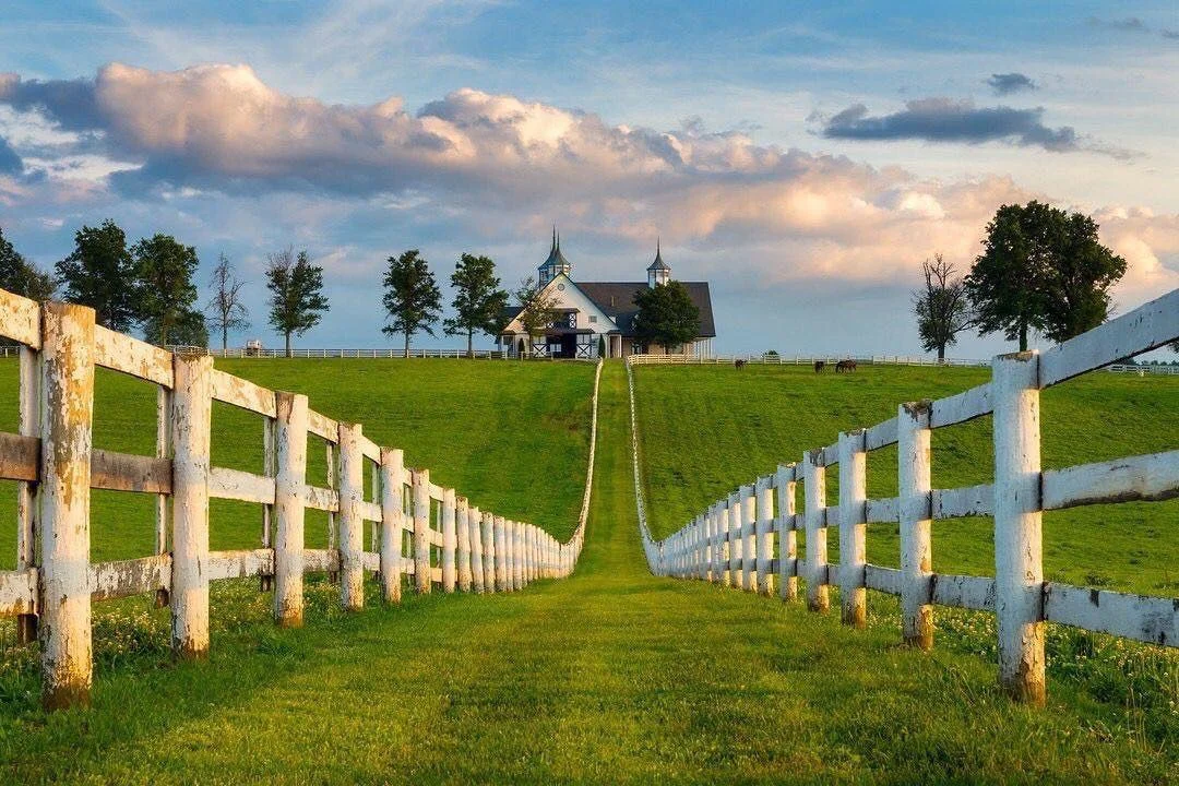 A big horse farm in Kentucky