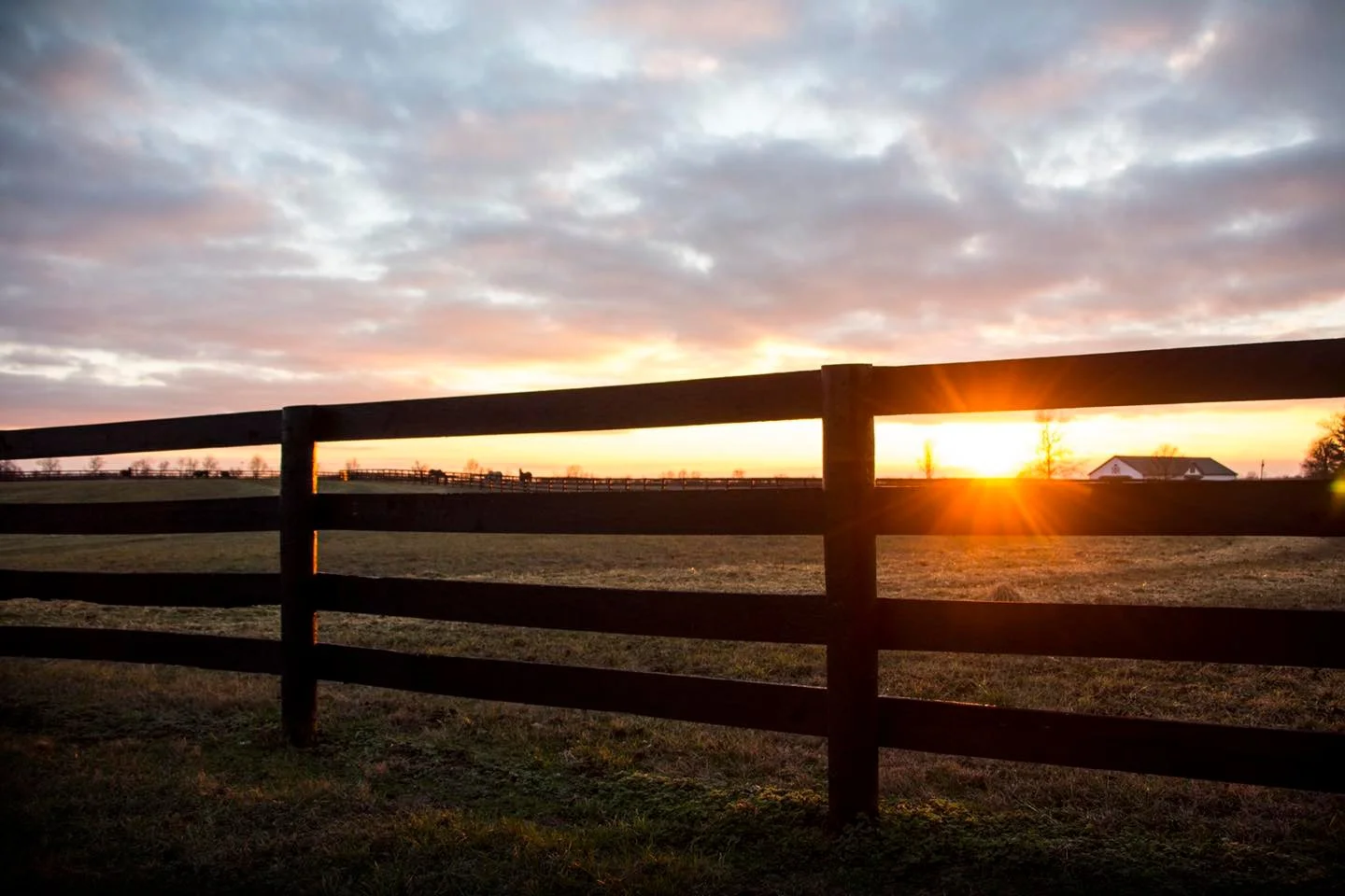 Sunset view in a horse farm in kentucky