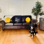 douglas fir vertical grain flooring with a tree, sofas and a lamp