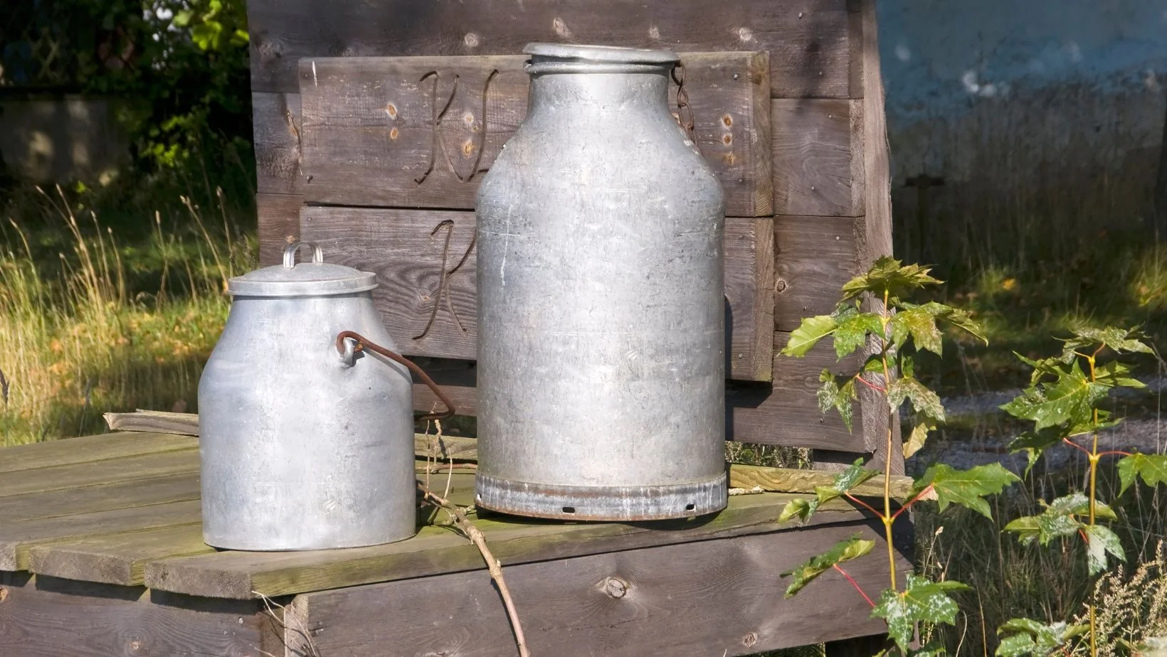 milk jars on a milking stool