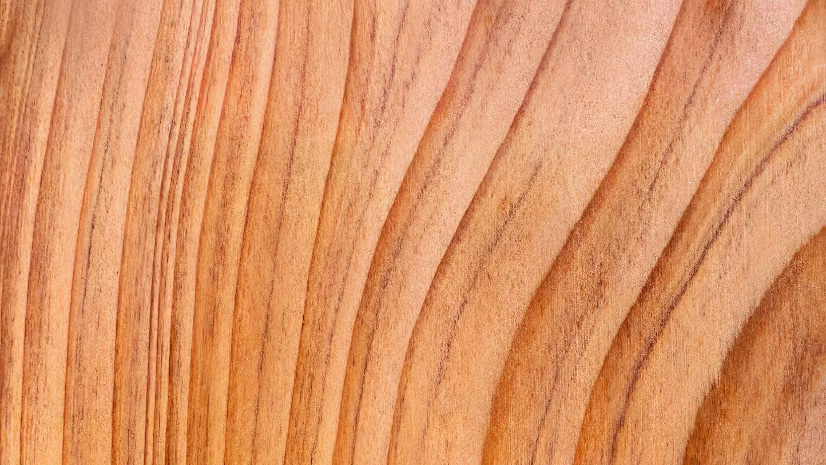 oak wood grain