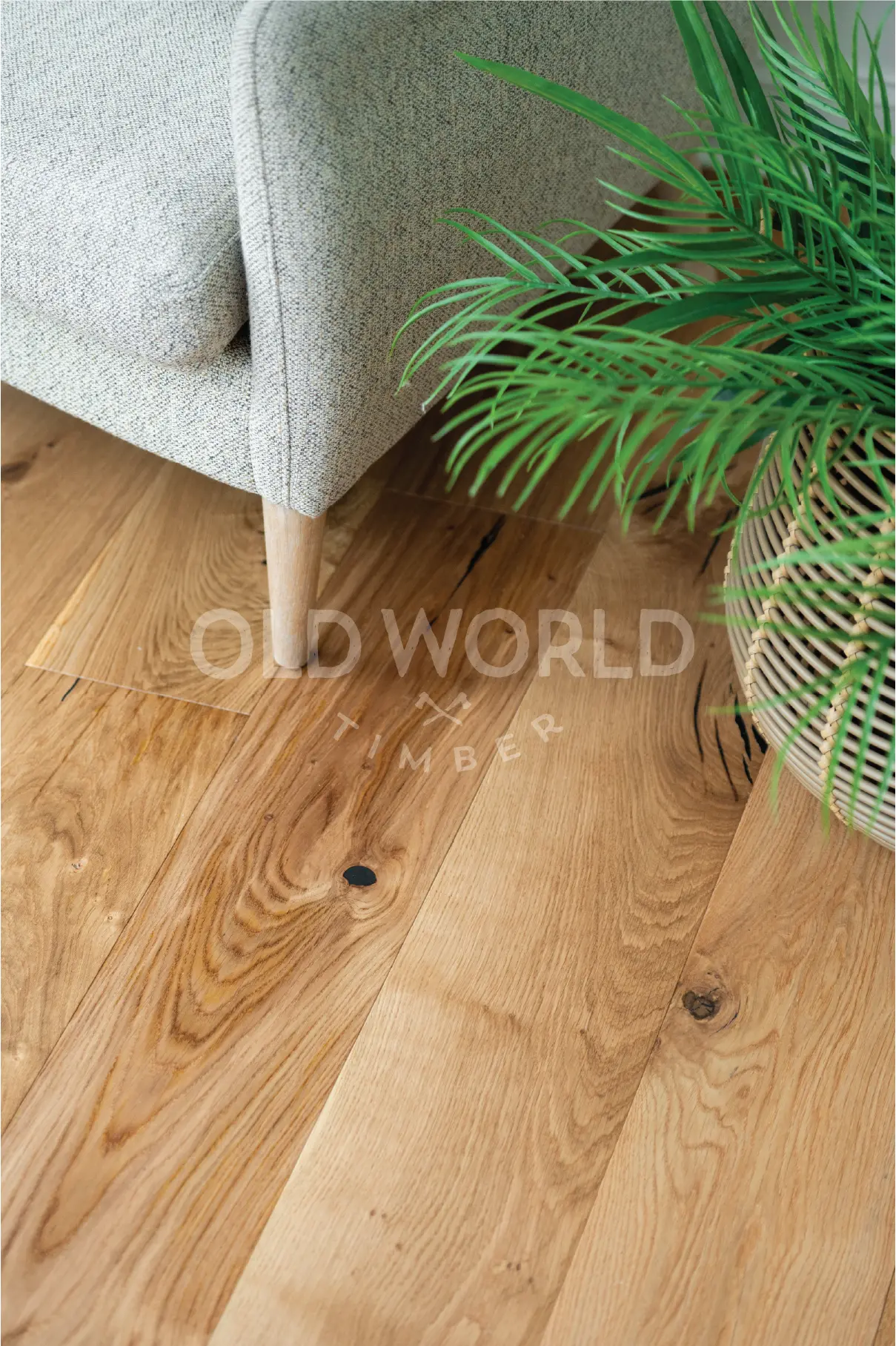 Detailed view of Modern Harvest Engineered Oak Flooring showing natural grain and eco-friendly character under a neutral-toned chair and woven basket planter.