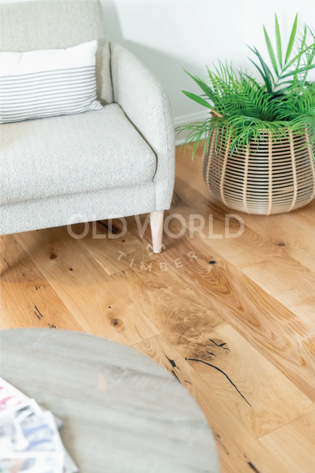 Grey armchair and potted greenery over warm oak tones of Modern Harvest engineered flooring, showcasing knots and sustainability appeal.